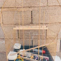 قفس و لانه پرنده|لوازم جانبی حیوانات|سردشت, |دیوار