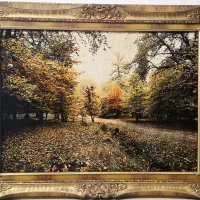 تابلو فرش دستباف طبیعت ۸۵*۱۱۵ قاب چوبی نونو