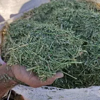 فروش کاه سبز(یونجه)|حیوانات مزرعه|بهبهان, |دیوار