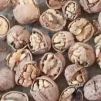 فروس گردو ۲۰ کیلو