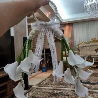 عروس