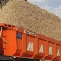 باگاس نیشکر