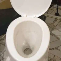 توالت فرنگی