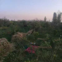 فروش