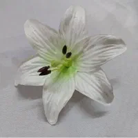 لیلوم فومی درجه یک تولیدی عمده