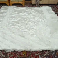 روتختی ساتن