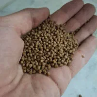 خوراک یا غذای ماهی گوشتخوار و گیاه خوار و گوپی|ماهی|شیراز, نصرآباد|دیوار