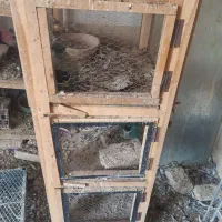 جفتکن سه طبقه