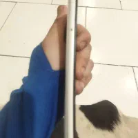 گوشی A21s|موبایل|تهران, تهرانپارس شرقی|دیوار