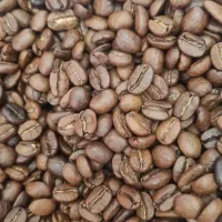 پخش دانه قهوه در رشت و حومه