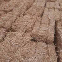 پخل گندم|لوازم جانبی حیوانات|تربت جام, جلگه موسی آباد|دیوار