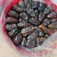 خرما کبکاب صادراتی جنوب|خوردنی و آشامیدنی|لاهیجان, پردسر|دیوار