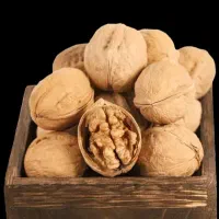 گردو پوست کاغذی درجه یک خارجی