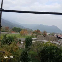 کناف و نقاشی