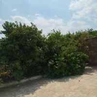 خدمات املاک