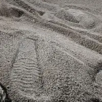 چمن مصنوعی نصب وراه اندازی|گل مصنوعی|اهواز, سلطانمنش|دیوار