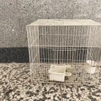 قفس پرنده