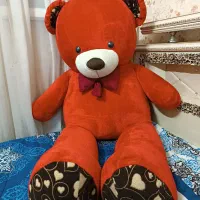 خرس دو متری سالم