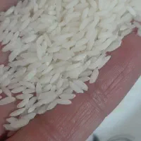 برنج هندی سوناماسوری مشابه عنبربو