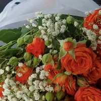 روکش پراید ۱۱۱ در حد نو