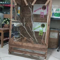 قفس چوبی پرندگان|لوازم جانبی حیوانات|پیشوا, |دیوار