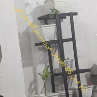 استندگل لطفاعکس رونگاه کنید