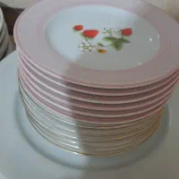 ظروف چینی نو شامل میوه خوری و غذاخوری|ظروف سرو و پذیرایی|نیشابور, فردوس شمالی|دیوار