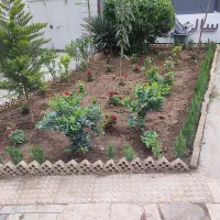 خدمات کاشت و باغبانی|خدمات باغبانی و درختکاری|اصفهان, پروین|دیوار