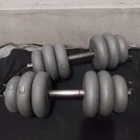 دمبل و چرخونک