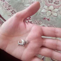 انگشتر نقره و گردنبد|جواهرات|بیجار, |دیوار