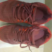 کتانی اروپایی سایز ۴۰