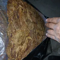 تنباکو تند تیز صادراتی