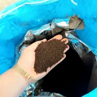 چای صد در صد وارداتی