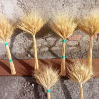 گل گندم|گل و گیاه طبیعی|رشت, چله خانه|دیوار