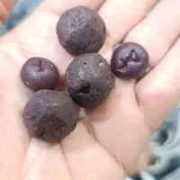 تعدادی هبهاب خونی