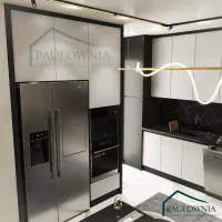 کابینت هایگلاس پالونیا
