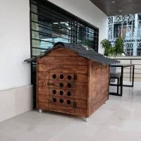 باکس چوبی سگ و گربه