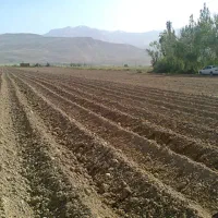 اجاره ۴ هکتار زمین آبی