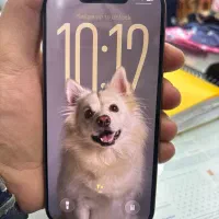 Iphone 16 pro|موبایل|شیراز, شاهچراغ|دیوار