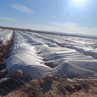 فوم - کاورضدسرمازدگگی|گل و گیاه طبیعی|جیرفت, |دیوار