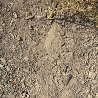 نیازمند کارگر جهت حفاری چاه سنگی متری