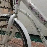 سایز 26 بزرگسال