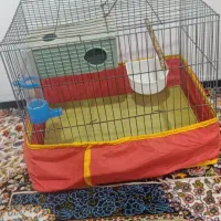 قفس پرنده|لوازم جانبی حیوانات|بوشهر, |دیوار