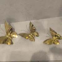 پروانه برنز