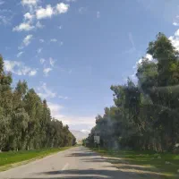 فروش زمین مسکونی صیدون