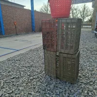 سبد برانداز