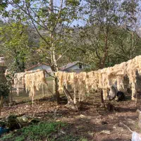 پشم گوسفندی بهاره و پاییزه