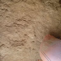 کاه فروشی|لوازم جانبی حیوانات|آبکوه, |دیوار