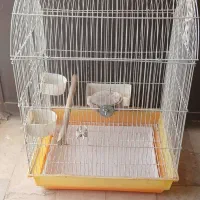 قفس پرنده