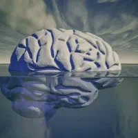 آموزش زبان مختص علاقه‌مندان به روانشناسی